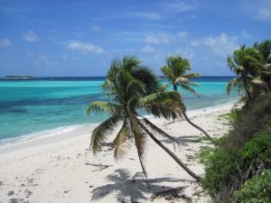 Croisière en catamaran dans les iles grenadines