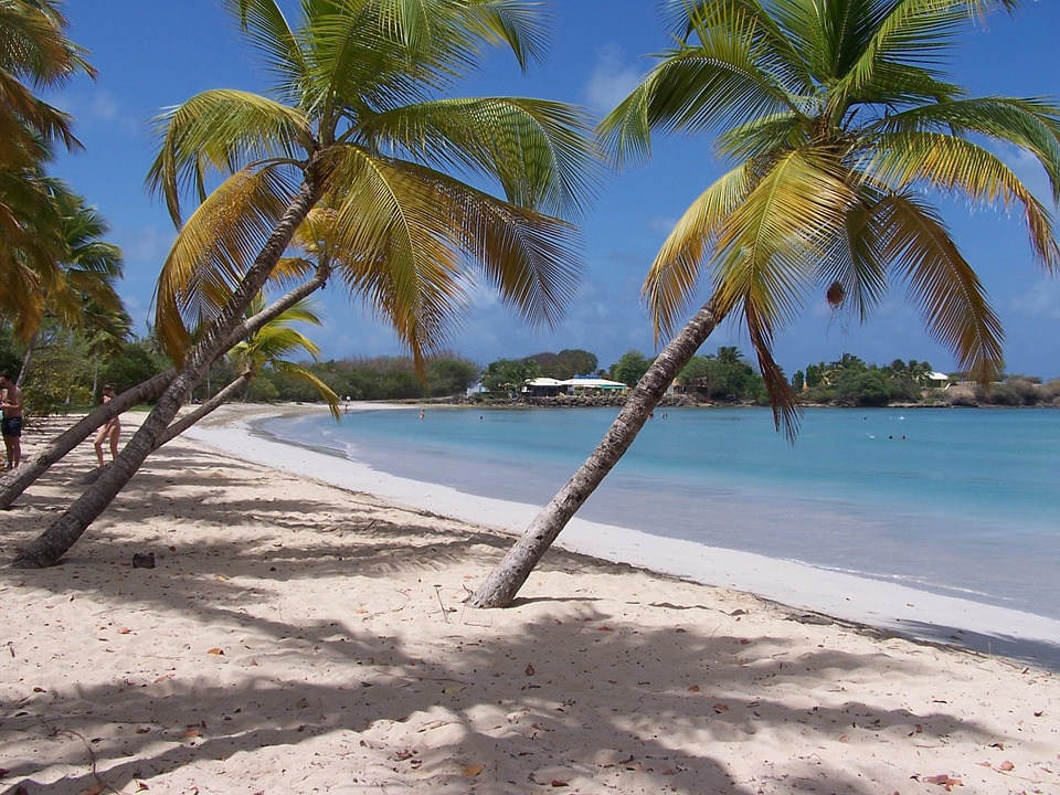 Croisière en catamaran à la martinique